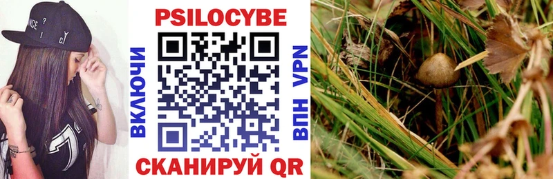 Купить где  Буй  Галлюциногенные грибы мухоморы 